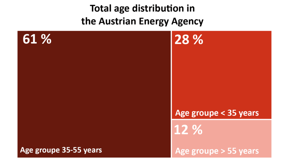 This graphic shows the age distribution of AEA members in 2025 (rounded). 61% are in the 35–55 age group. 28% are younger than 35. 12% are older than 55.