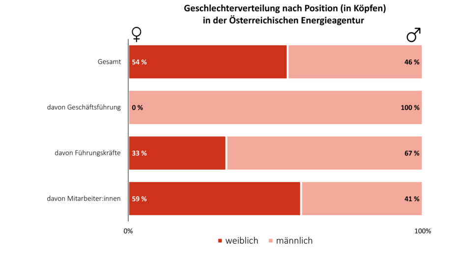 Diese Grafik zeigt die Geschlechterverteilung auf verschiedenen Positionsebenen: Gesamt: 54 % Frauen, 46 % Männer. Davon Geschäftsführung: 0% Frauen, 100% Männer. Davon Führungskräfte: 33% Frauen, 67% Männer. Davon Mitarbeiter:innen: 59% Frauen, 41% Männer.