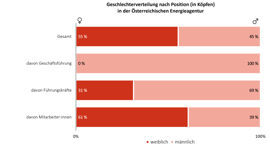 Diese Grafik zeigt die Geschlechterverteilung auf verschiedenen Positionsebenen:  Leitung: 55 % Frauen, 45 % Männer.  Assistenz: 100 % Frauen.  Wissenschaftlich Mitarbeitende: 69 % Frauen, 31 % Männer.  Weitere Mitarbeitende: 61 % Frauen, 39 % Männer.