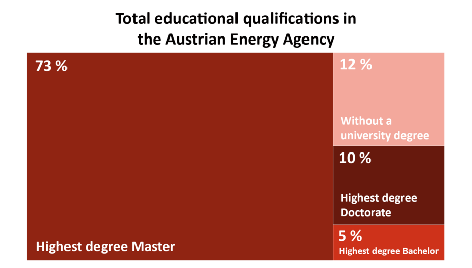 This graphic shows the highest educational qualification of AEA members in 2025 (rounded). 73% have a master's degree. 12% have no tertiary qualification. 5% have a bachelor's degree. 10% have a doctorate.