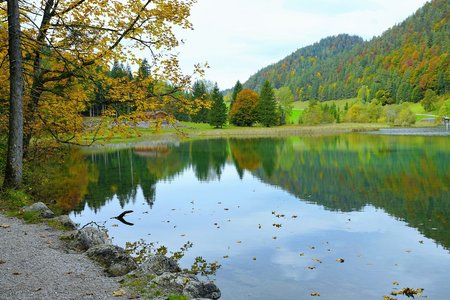 Landschaftsbild im Wald, bei einem See gesäumt von grünen Bäumen.