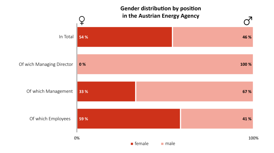 This graphic shows the gender distribution at different position levels: Overall: 54% women, 46% men. Of these, management: 0% women, 100% men. Of these, managers: 33% women, 67% men. Of these, employees: 59% women, 41% men.