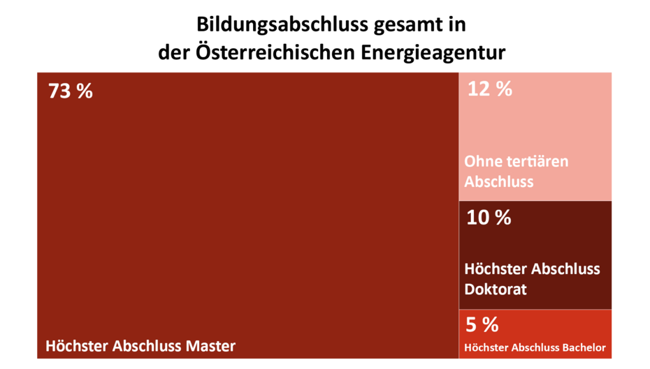 Diese Grafik zeigt den höchsten Bildungsabschluss der AEA-Mitglieder im Jahr 2025 (gerundet). 73 % haben einen Masterabschluss. 12 % haben keinen tertiären Abschluss. 5 % haben einen Bachelorabschluss. 10 % haben ein Doktorat.