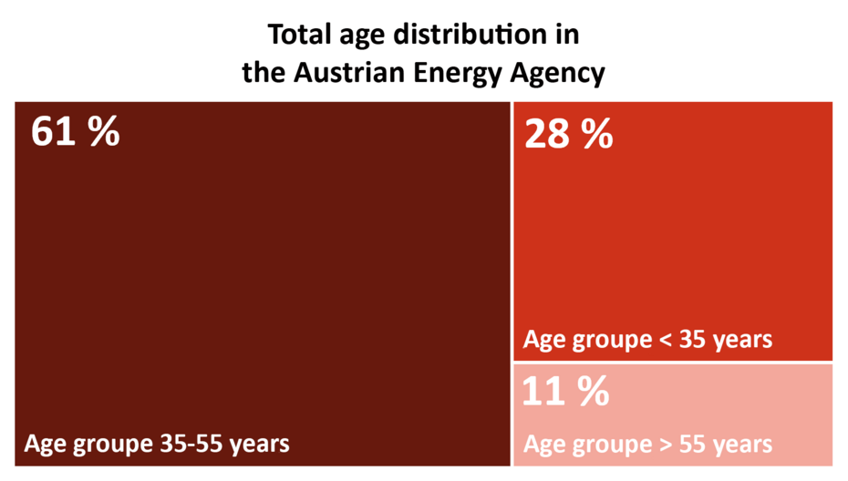 This graphic shows the age distribution of AEA members in 2024.  61% are in the 35–55 age group.  28% are younger than 35 years.  11% are older than 55 years.