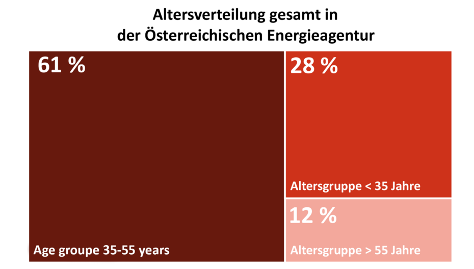 Diese Grafik zeigt die Altersverteilung der AEA-Mitglieder im Jahr 2025 (gerundet). 61 % gehören zur Altersgruppe 35–55 Jahre. 28 % sind jünger als 35 Jahre. 12 % sind älter als 55 Jahre.