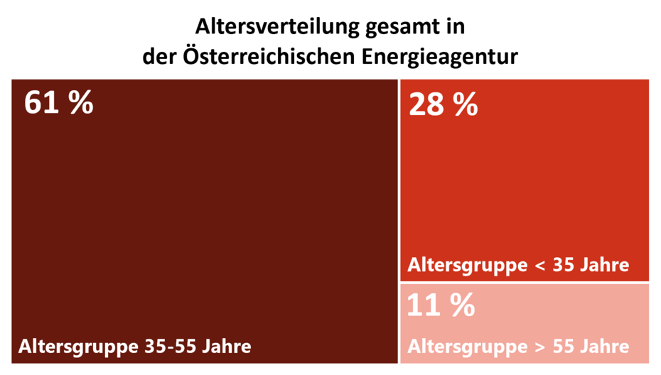 Diese Grafik zeigt die Altersverteilung der AEA-Mitglieder im Jahr 2024.  61 % gehören zur Altersgruppe 35–55 Jahre.  28 % sind jünger als 35 Jahre.  11 % sind älter als 55 Jahre.