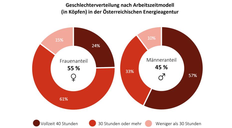 Diese Grafik zeigt die Verteilung von Männern und Frauen in verschiedenen Arbeitszeitmodellen.  In Teilzeit arbeiten 61 % Frauen, 24 % Männer.  In Vollzeit arbeiten 57 % Männer, 33 % Frauen.  Die restlichen 15 % (Teilzeit) bzw. 10 % (Vollzeit) entfallen auf andere Geschlechter oder sind nicht angegeben.