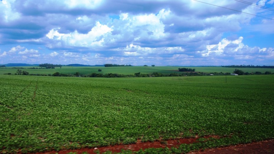 Landschaftsbild von brazilianischen Feldern