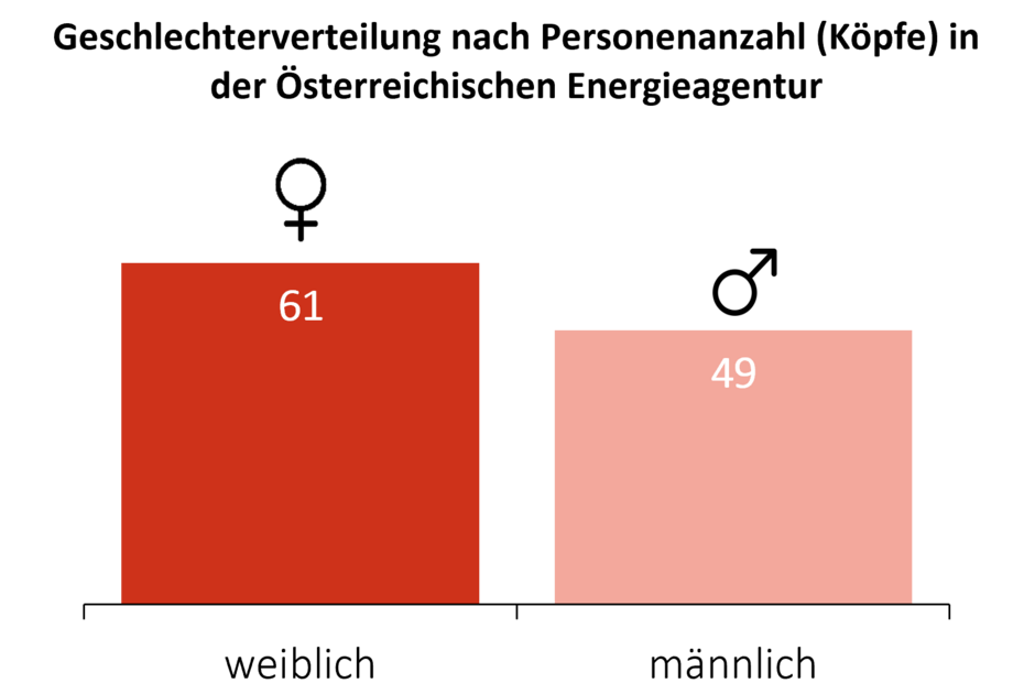 Diese Grafik zeigt die Gesamtanzahl der Männer und Frauen in der AEA im Jahr 2024.  61 Personen sind Frauen.  49 Personen sind Männer.